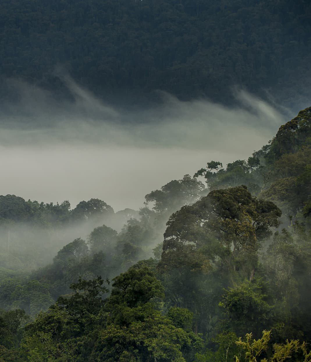 Scenic view of Rwanda showcasing the beautiful landscapes and destinations offered by Calstone Adventures